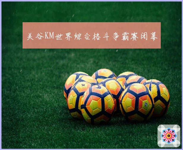 关谷KM世界综合格斗争霸赛闭幕