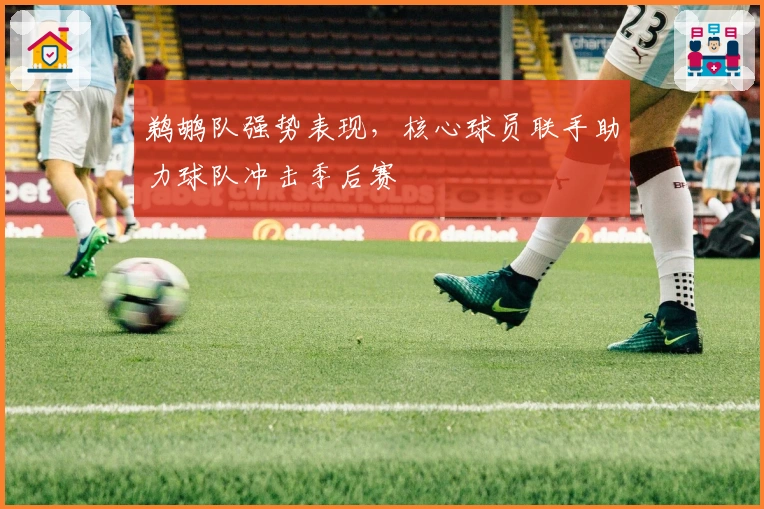 鹈鹕队强势表现，核心球员联手助力球队冲击季后赛