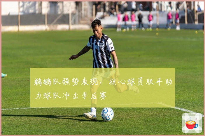 鹈鹕队强势表现，核心球员联手助力球队冲击季后赛