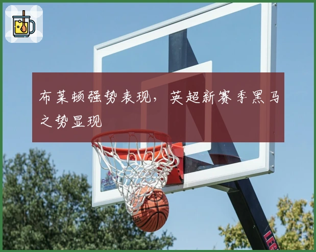 布莱顿强势表现,英超新赛季黑马之势显现