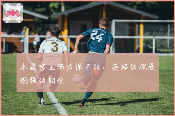 水晶宫主场力保不败，英超劲旅展现强劲韧性